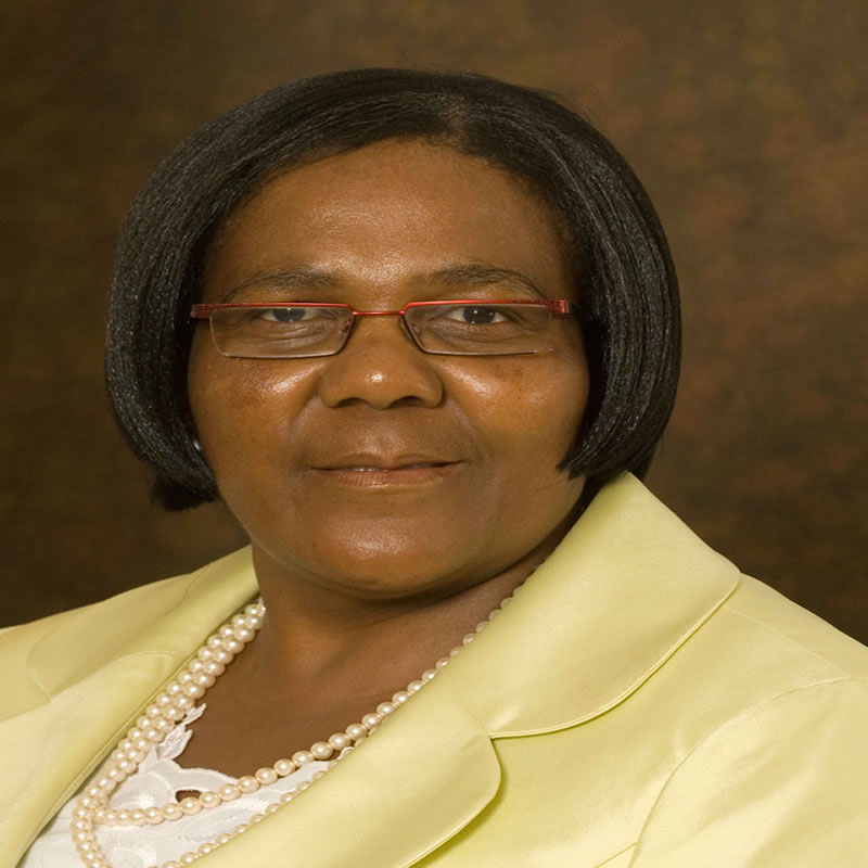 Transport Minister Dipuo Peters