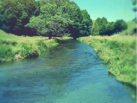 Water stream in park.