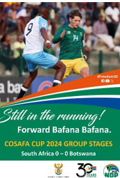 Bafana Bafana - Figure 1