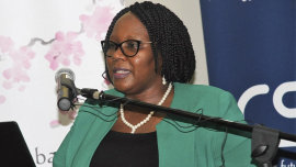 dtic Deputy Minister Nomalungelo Gina.