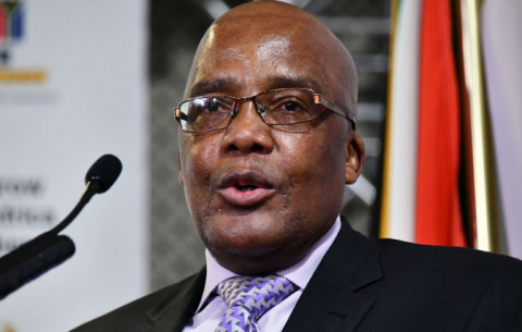 Home Affairs Minister, Dr Aaron Motsoaledi, revealed the list of countries at a briefing on the reopening of borders and ports of entry for international travelers.