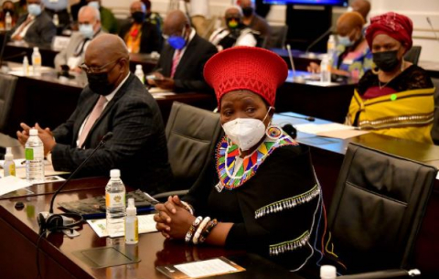 Cogta Deputy Minister Obed Bapela and Cogta Minister Dr Nkosazana Dlamini-Zulu at the opening of the National House of Traditional and Khoi-San Leaders.