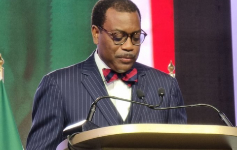 President of the African Development Bank, Dr Akinwumi Adesina, at the 4th SA Investment Conference.