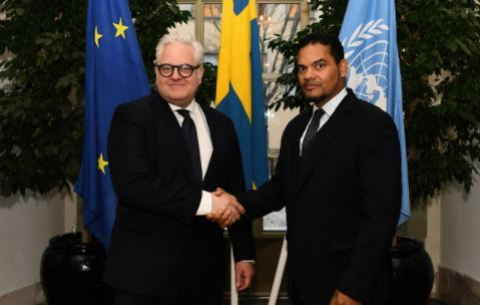 Deputy Minister of International Relations and Cooperation, Alvin Botes, meets with Swedish State Secretary for Foreign Trade and Nordic Affairs, Krister Nilsson, in Sweden.